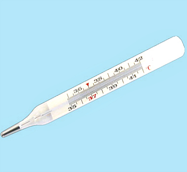 Медицинский термометр стеклянный максимальный (градусник +35+42C) || ГК  Теплоприбор